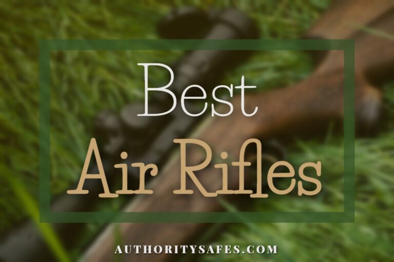 15 Best Air Rifles 2024 Small Animal Hunting & Practice