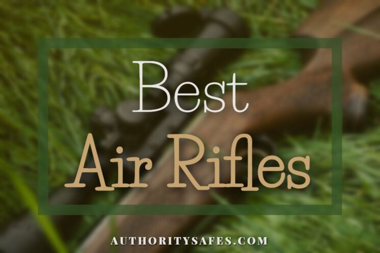 Best Air Rifles